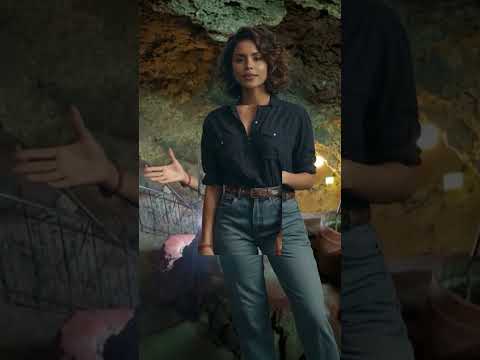 ¿Una disco en una cueva? El secreto que esconde el nombre de la Disco Ayala