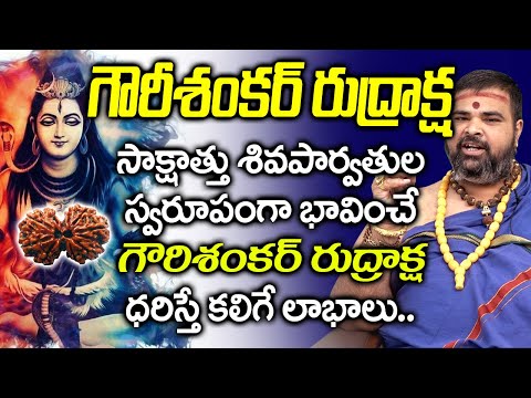 గౌరీశంకర రుద్రాక్ష ధరిస్తే కలిగే లాభాలు ? I About Gaurishankar Rudraksha in Telugu I Bhakthi Margam