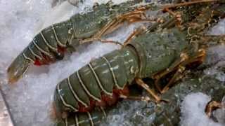 Seafood at Night Market, Chiang Mai Town, Thailand