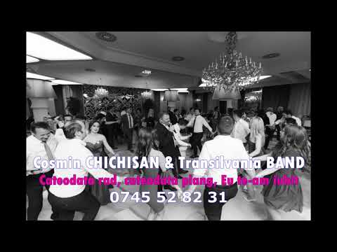 COSMIN CHICHISAN - Cateodata rad, cateodata plang, Eu te-am iubit (cover AUDIO LIVE)