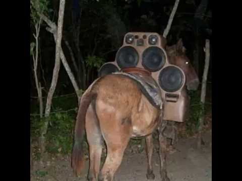 Apsynum - Fighting shadows