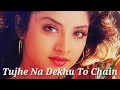 Tujhe Na Dekhu To Chain Raag Kumar Sanu Alka Yagnik Full Lyrics Song