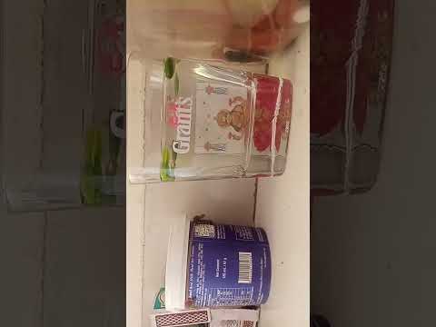 Most beautiful fish setup #automobile #music #beats #aesthetic #phonk