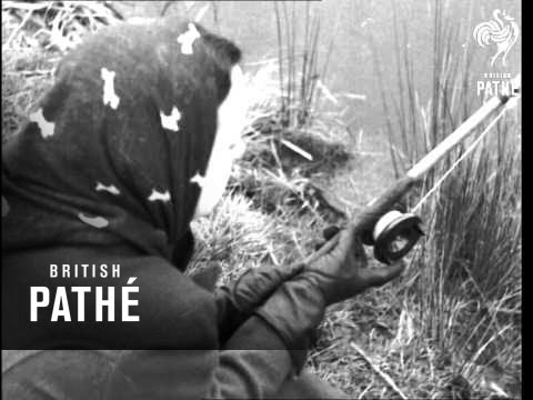 Golf Fishing Rod  (1937)