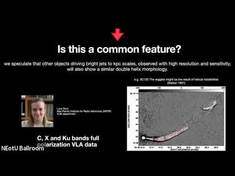 Alice Pasetto - Unveiling the Polarization Properties of AGN in the Era of ngVLA and SKA.