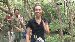 Download lagu Program GoBali Kenalkan Hutan Mangrove Pada Mahasiswa Asing mp3 Download lagu Program GoBali Kenalkan Hutan Mangrove Pada Mahasiswa Asing mp3