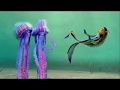 Dreamworks Animation Skg Shark Tale Oscar And Blue Jellyfish Screaming