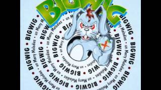 Bigwig - Dylan´s song