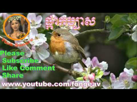 Tuch Sunnix - Pkar Kabas