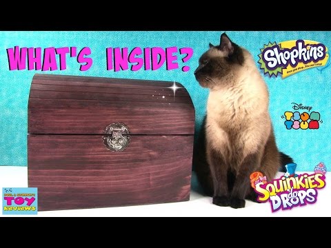 Simon's Blind Bag Treasure Chest Unboxing #13 | Shopkins Squinkies Disney Num Noms | PSToyReviews