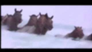 Alexander Rybak &quot;13 Horses&quot;