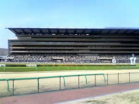 2015 TOKYO R 11 YASUDA KINEN