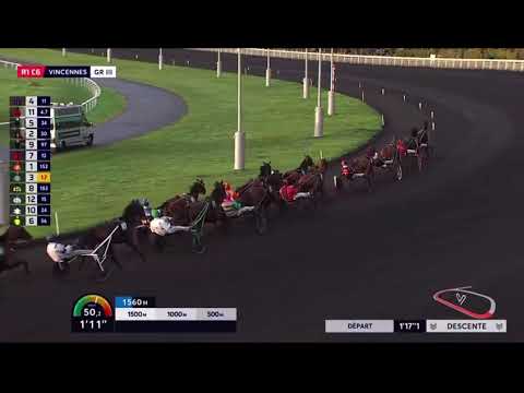 Prix Du Languedoc Gr3 2025 - Cobra Killer Gar & Gabriele Gelormini 1.13,1 2850m 