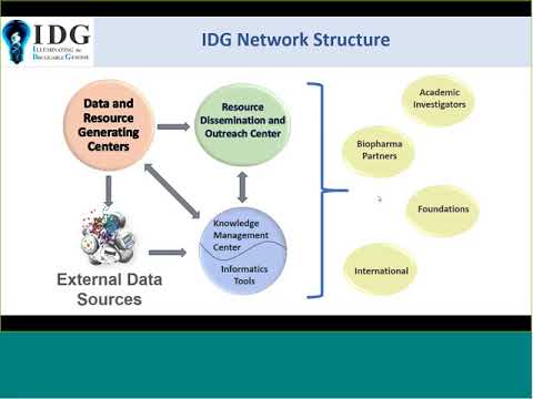 Illuminating the Druggable Genome Pre-Application Webinar