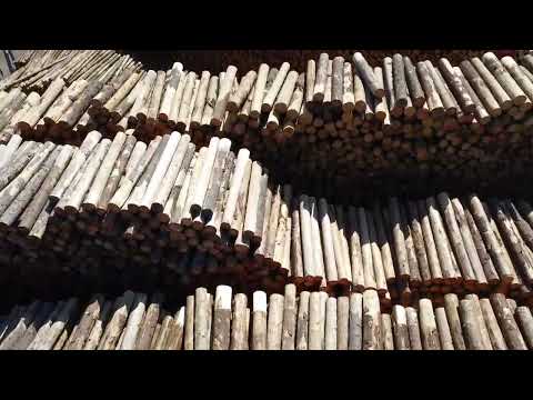 Pfeifer Group: Holzwerk in Chanovice, Tschechien