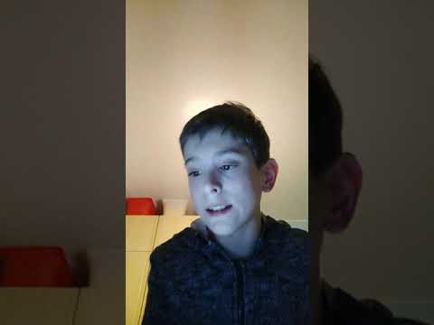 Projekt, lesní roh.