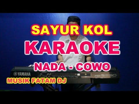 SAYUR KOL - KARAOKE NADA COWO | LIRIK, HD