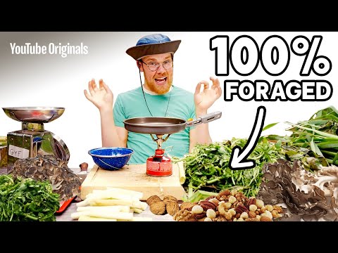 Can You Grow Food Without Soil? | Shut It Off ASAP