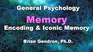 Memory - Encoding & Iconic Memory