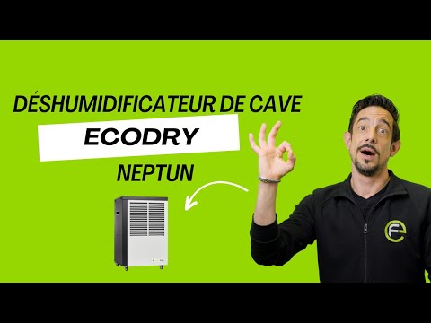 Plus jamais de moisissures dans la cave — ecodry Neptun