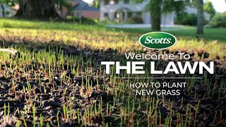 Welcome To The Lawn: How to Plant New Grass