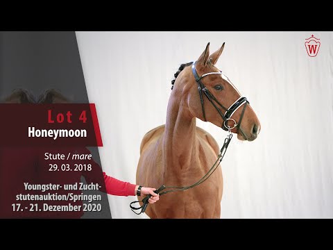 Youngster- und Zuchtstutenauktion/Springen Lot 4 Honeymoon Stute v.  Hampshire VDL -  Acobat II