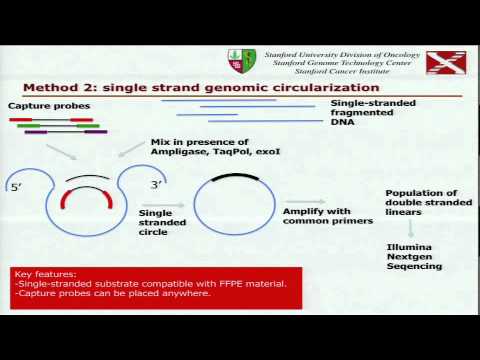 Massively Parallel Validation of Cancer Mutations and Other Variants... - Georges Natsoulis