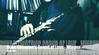 Duke Ellington's Sound of Love.m4v