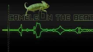 C Dot Castro - Still Got It || Transport