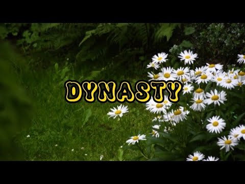MIIA - Dynasty ( karaoke inst. lyrics) with backing vocals