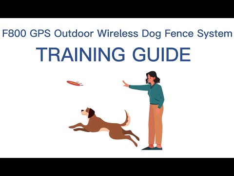 Pawious Dog Fence F800 - DOG Training Video, step-by-step instruction.