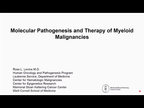 Molecular Pathogenesis and Therapy of Myeloid Malignancies