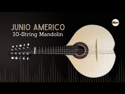 Junio Americo 10-String Mandolin | Brazil image 11