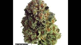 Devin the Dude ft. Laidback Gemini - Do You Love Gettin' High?