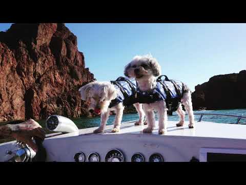 This is America - Childish Gambino vs Fisher (Dj Decent Mashup)