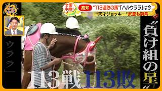 [馬娘] 超越勝負的感動