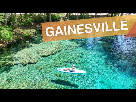 Gainesville - USA :: What to do in Ginnie Springs and other city attractions :: 3em3