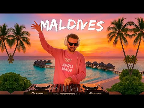 coldplay, avicii, chainsmokers, alok, kygo, calvin harris, ellie goulding, alesso