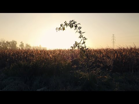 "Clown" - Monika Wiśniowska-Basel (aerial video)