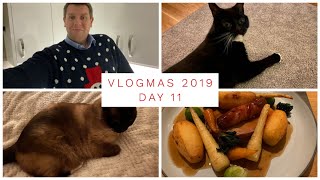 VLOGMAS 2019 - DAY 11 - CATS