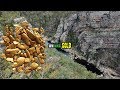 How much gold did i find in my first 6months GOLD prospecting (PART 1) How much gold did i find in my first 6months GOLD prospecting (PART 1)