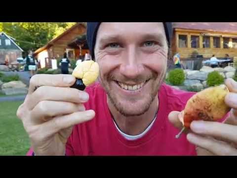 Deadly Ackee Fruit At Woodstock Fruit Festival