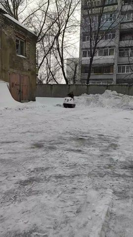 🔥2х цилиндровый 4х тактный движок на снегоходе #снегоход #lifan #loncin