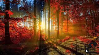 Rubber Bracelet by Lost Tapes