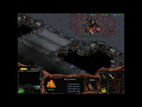 StarCraft 1: The Bob Levels I 02 - And Then A  Hero Comes Along
