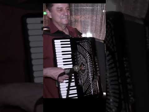 Ljubiša Pavković uživo 2018 🪗 Balkan accordion music 🪗 Acordeón musica