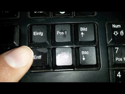 Endgültig aus dem Papierkorb gelöschte Dateien wiederherstellen – Bilder / Dokumente / Videos Daten