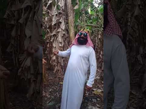 #sheik ostentando na serra du retiro Uruburetama ceara #humor