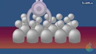 Tema 2 Procesos de inicio de la certificación PMP