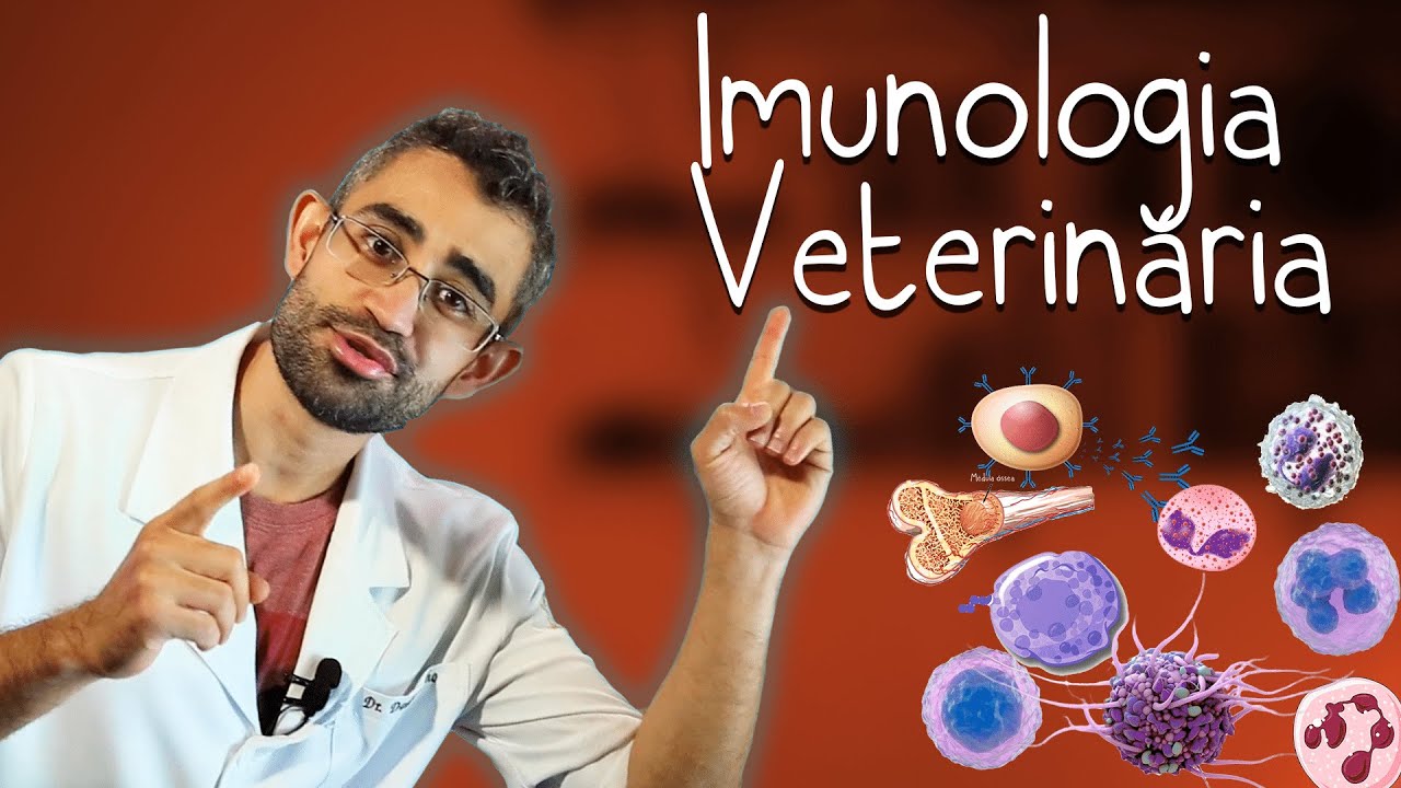 Imunologia Veterinária  | Disciplinas da Vet #10